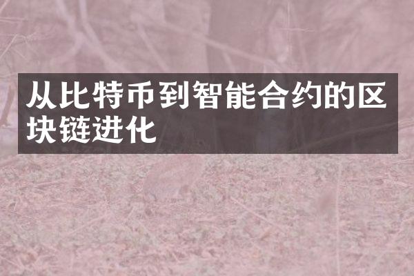 从比特币到智能合约的区块链进化