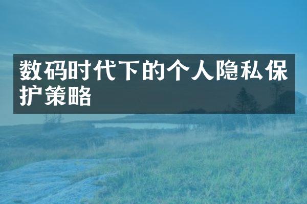 数码时代下的个人隐私保护策略