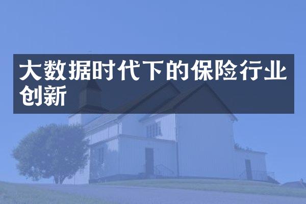 大数据时代下的保险行业创新