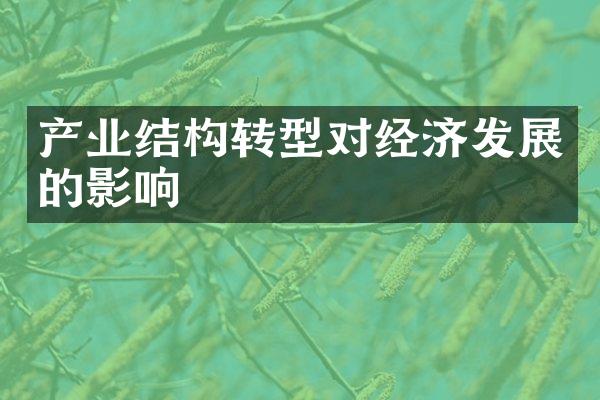 产业结构转型对经济发展的影响