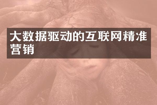 大数据驱动的互联网精准营销