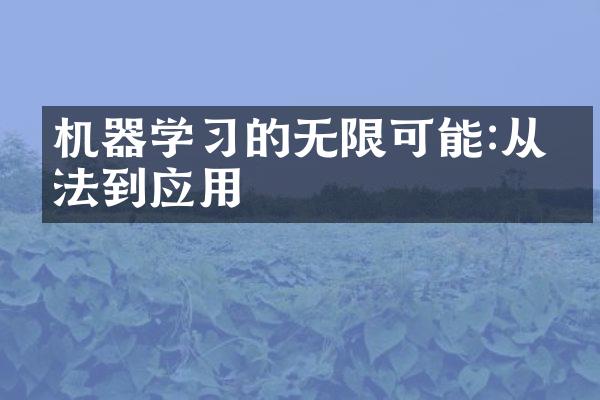 机器学习的无限可能:从算法到应用