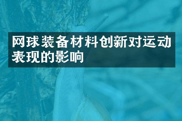 网球装备材料创新对运动表现的影响