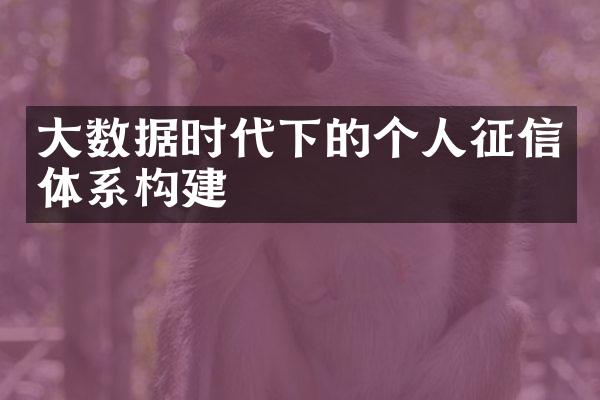 大数据时代下的个人征信体系构建