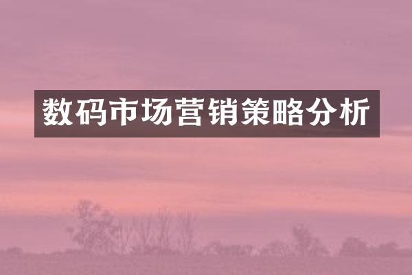 数码市场营销策略分析