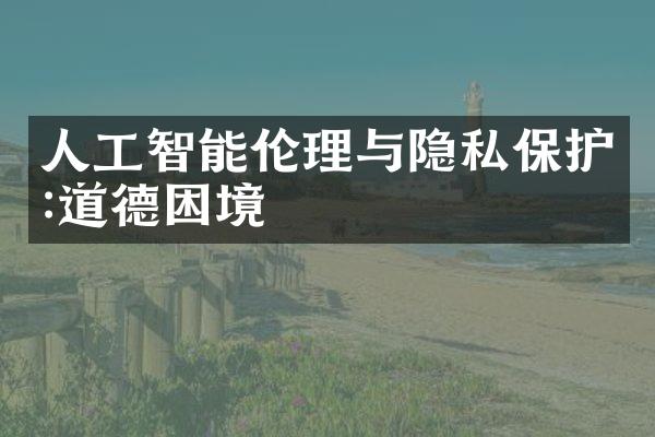 人工智能伦理与隐私保护:道德困境