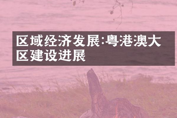 区域经济发展:粤港澳大湾区建设进展