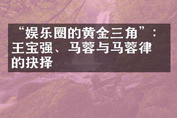 “娱乐圈的黄金三角”：王宝强、马蓉与马蓉律师的抉择