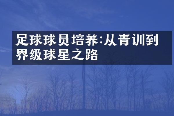 足球球员培养:从青训到世界级球星之路