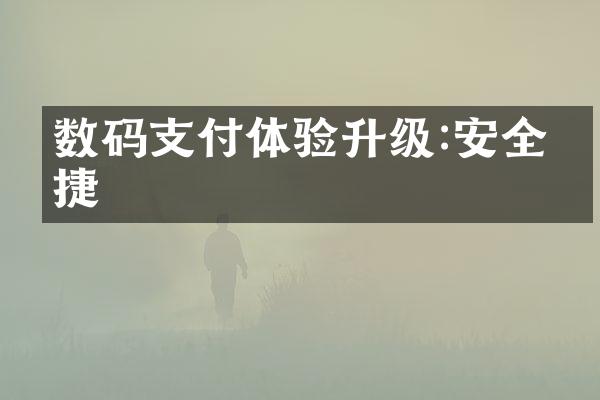 数码支付体验升级:安全便捷