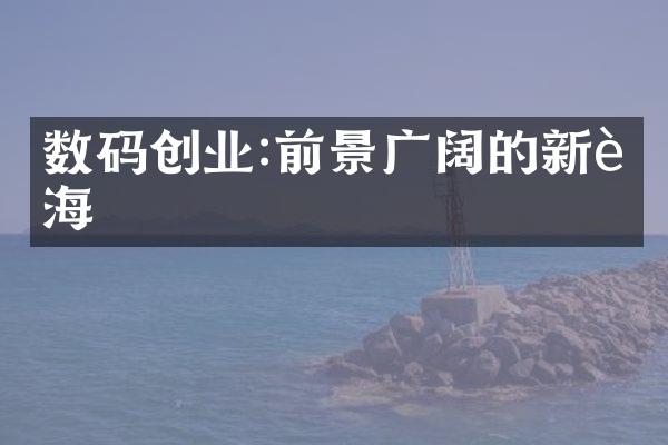 数码创业:前景广阔的新蓝海