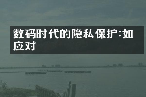 数码时代的隐私保护:如何应对