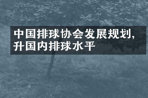 中国排球协会发展规划,提升国内排球水平