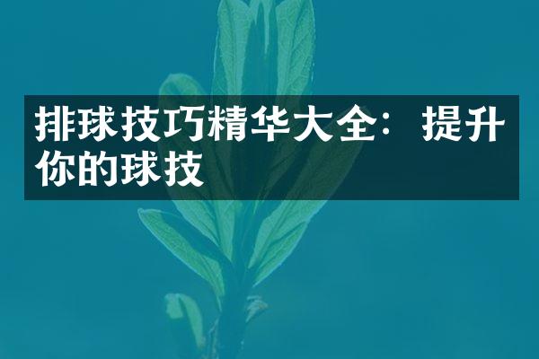 排球技巧精华大全：提升你的球技