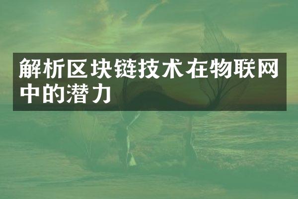 解析区块链技术在物联网中的潜力