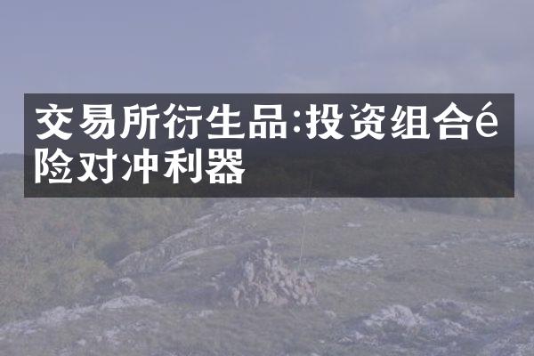 交易所衍生品:投资组合风险对冲利器