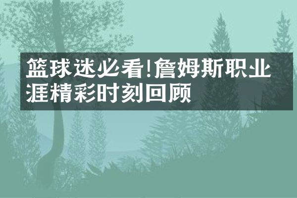 篮球迷必看!詹姆斯职业生涯精彩时刻回顾