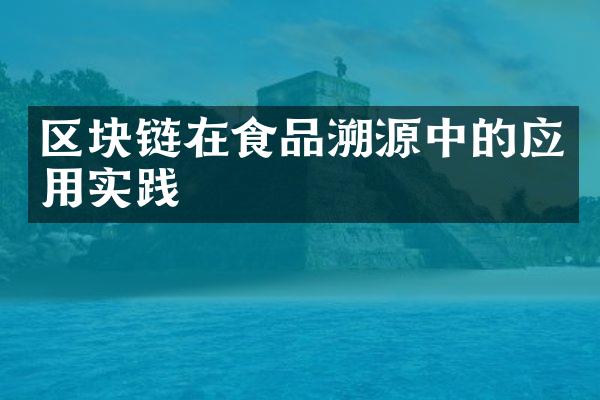 区块链在食品溯源中的应用实践