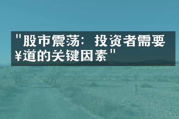 "股市震荡：投资者需要知道的关键因素"