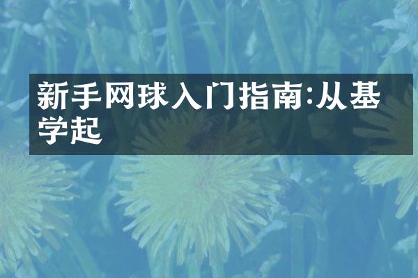 新手网球入门指南:从基础学起