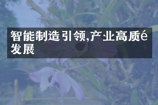 智能制造引领,产业高质量发展