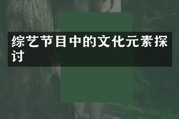 综艺节目中的文化元素探讨