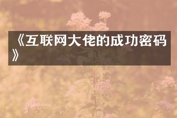 《互联网大佬的成功密码》