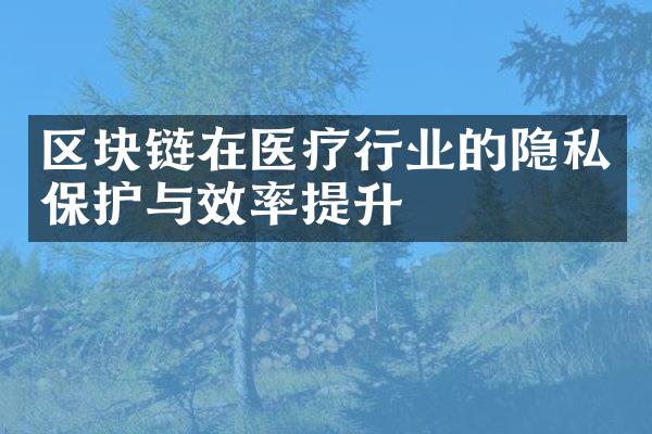 区块链在医疗行业的隐私保护与效率提升