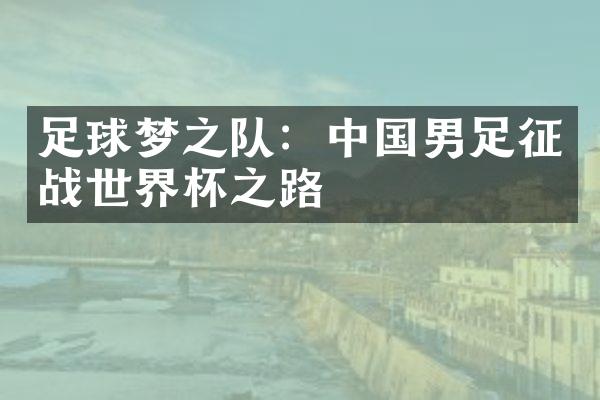 足球梦之队：中国男足征战世界杯之路