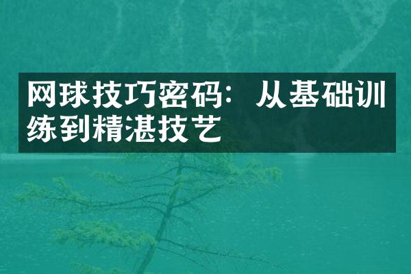 网球技巧密码：从基础训练到精湛技艺