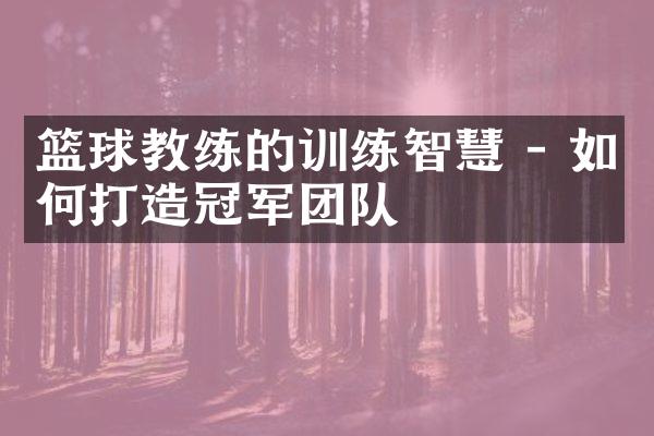 篮球教练的训练智慧 - 如何打造冠军团队