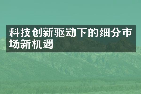 科技创新驱动下的细分市场新机遇