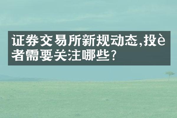 证券交易所新规动态,投资者需要关注哪些?