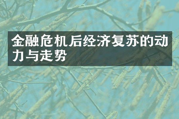 金融危机后经济复苏的动力与走势