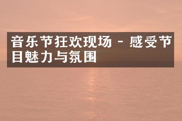 音乐节狂欢现场 - 感受节目魅力与氛围