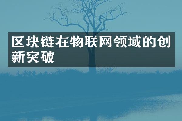 区块链在物联网领域的创新突破