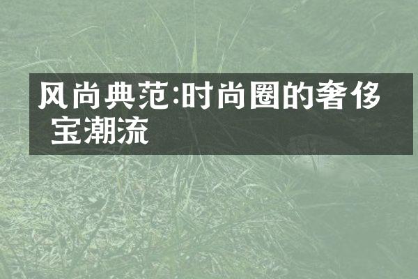 风尚典范:时尚圈的奢侈珠宝潮流