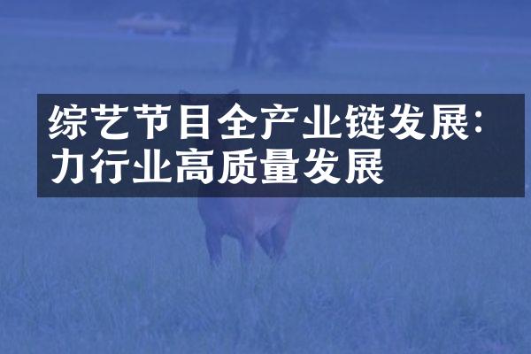 综艺节目全产业链发展:助力行业高质量发展