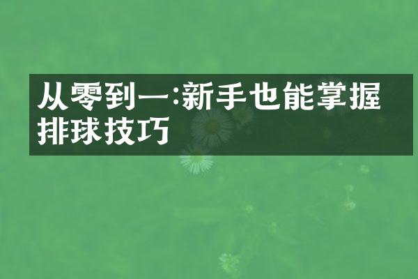 从零到一:新手也能掌握的排球技巧