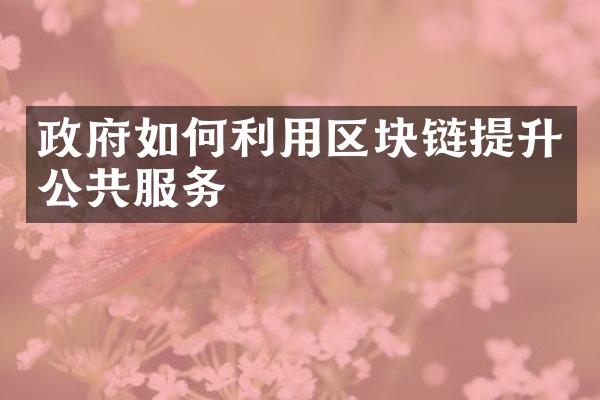 政府如何利用区块链提升公共服务