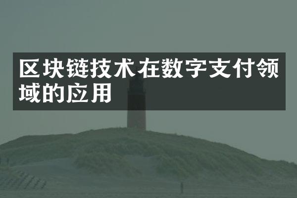 区块链技术在数字支付领域的应用