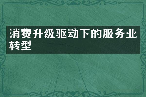 消费升级驱动下的服务业转型