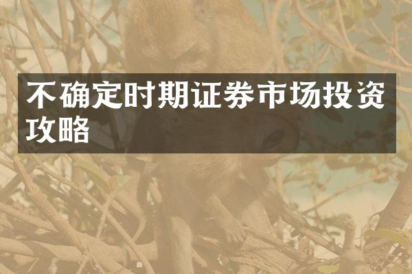 不确定时期证券市场投资攻略