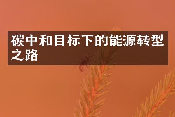 碳中和目标下的能源转型之路