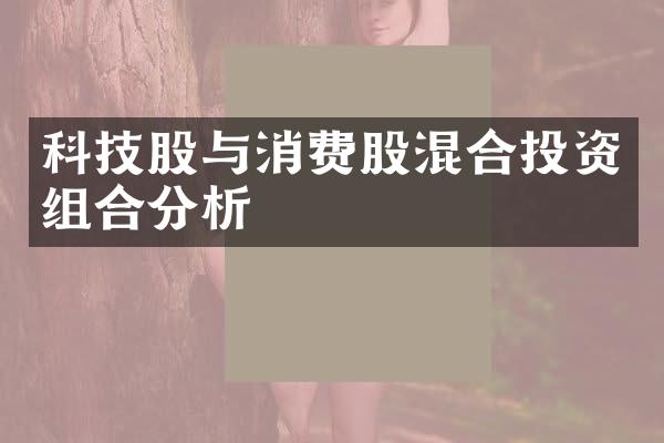 科技股与消费股混合投资组合分析