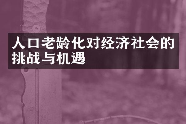 人口老龄化对经济社会的挑战与机遇