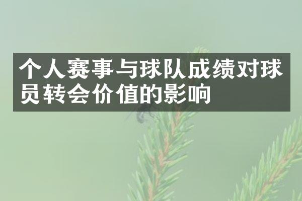 个人赛事与球队成绩对球员转会价值的影响