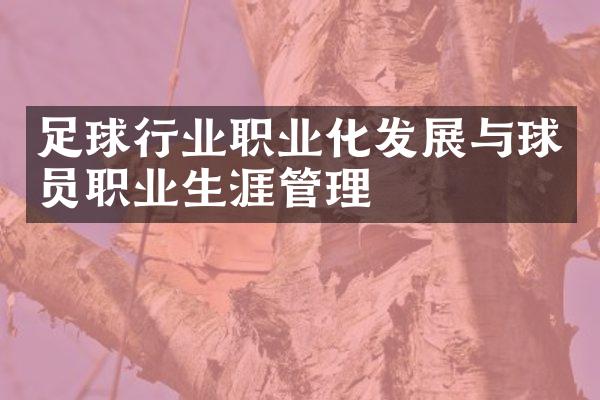 足球行业职业化发展与球员职业生涯管理