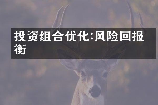 投资组合优化:风险回报平衡