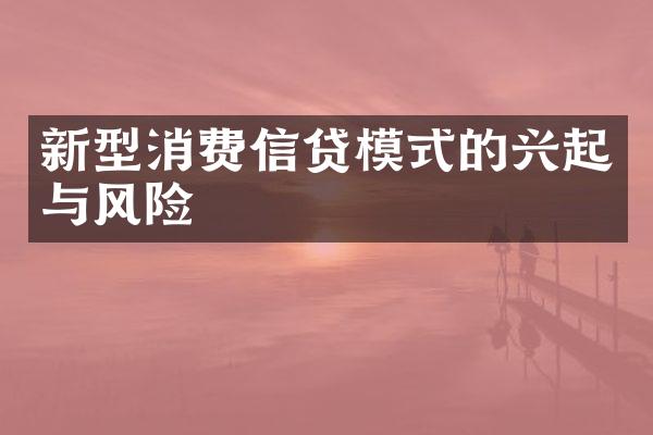 新型消费信贷模式的兴起与风险